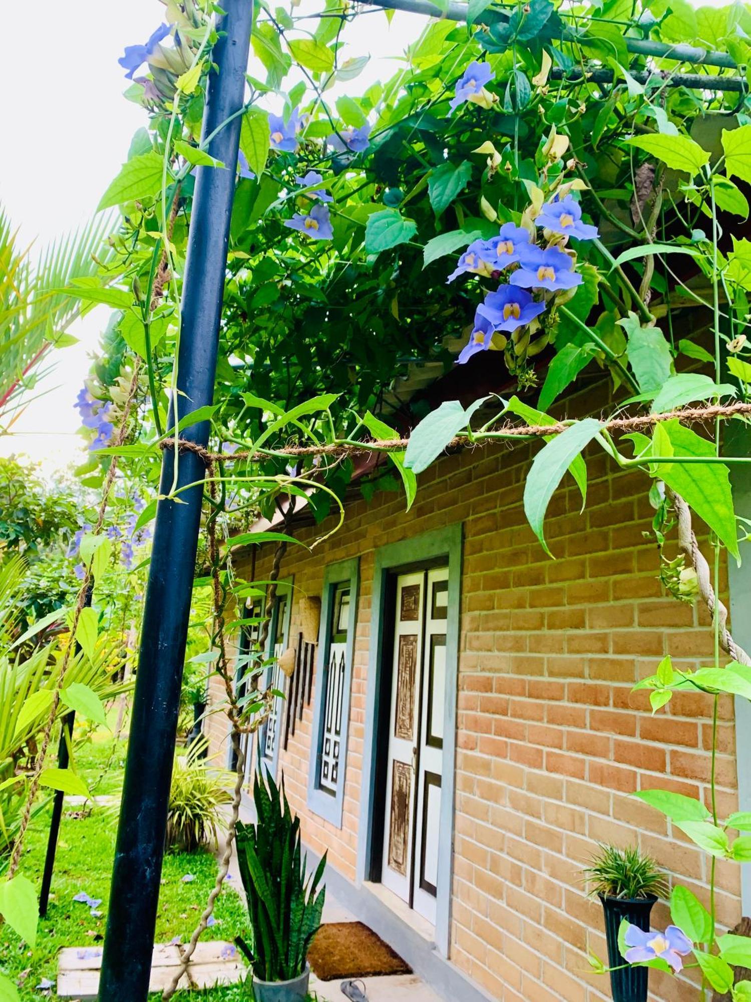 Ashok Villa Weligama Exterior photo