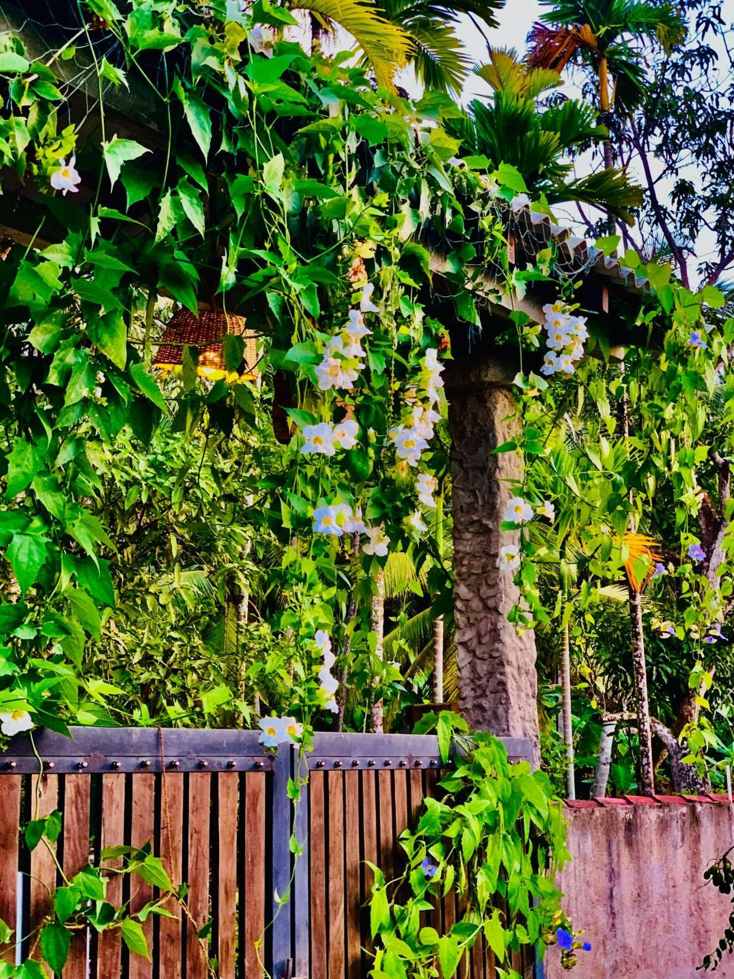 Ashok Villa Weligama Exterior photo