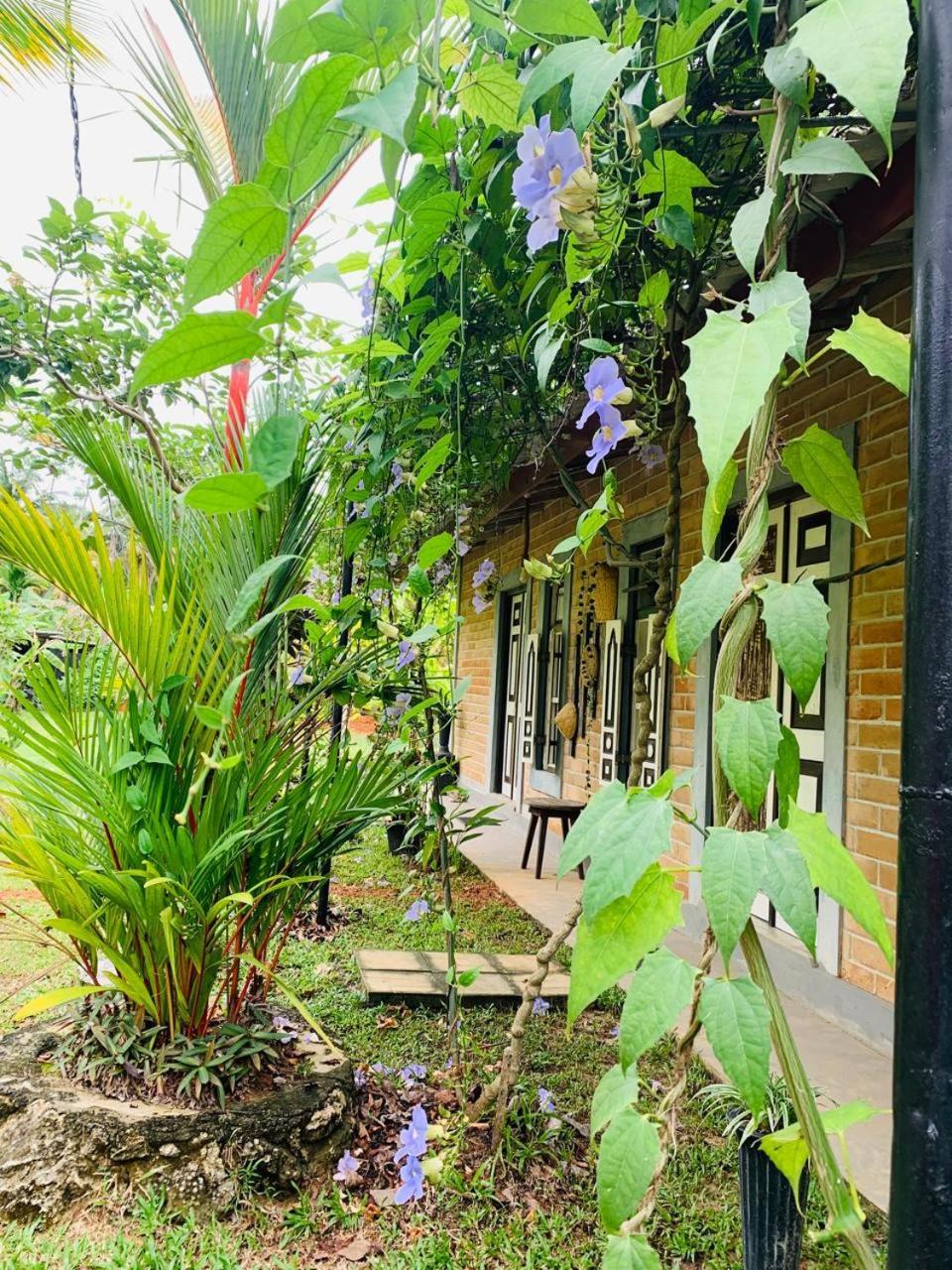 Ashok Villa Weligama Exterior photo