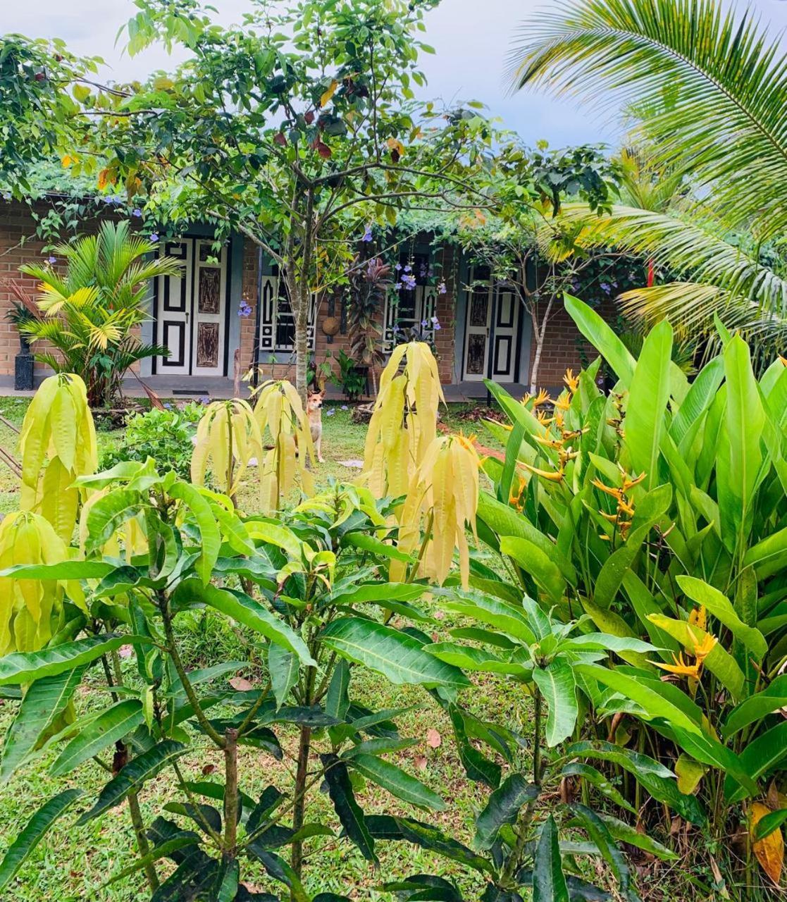 Ashok Villa Weligama Exterior photo