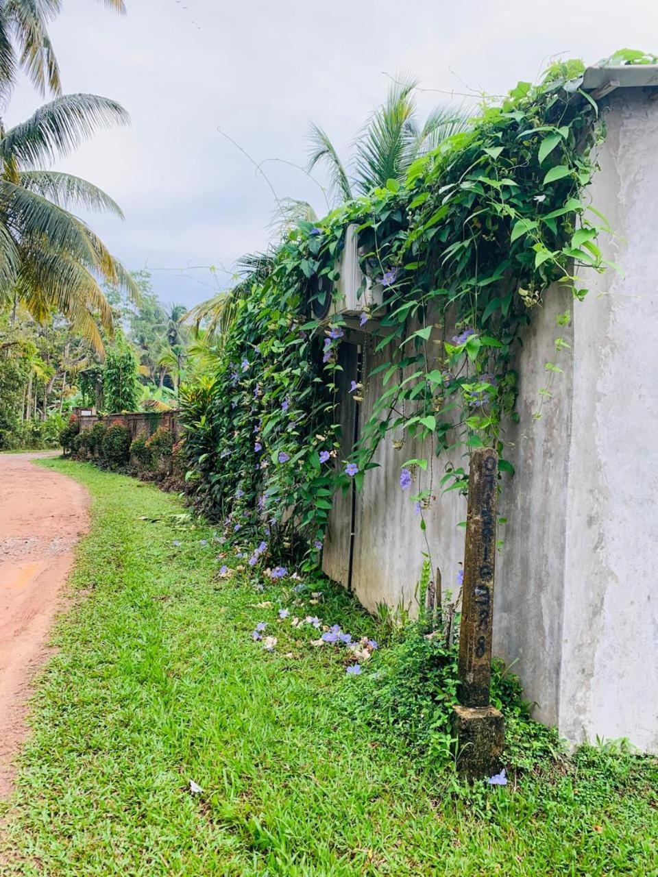 Ashok Villa Weligama Exterior photo